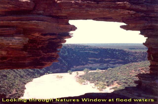 natures window